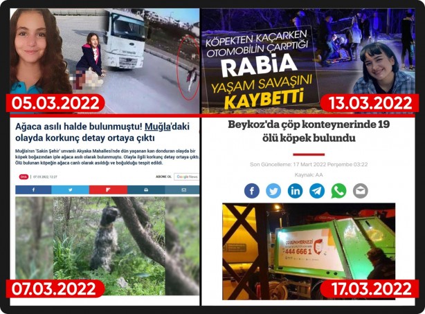 Foto - İşte köpek duyarı kasanların ikiyüzlülüğü! Çocuklar ölürken değil uyurken sessiz olunur!