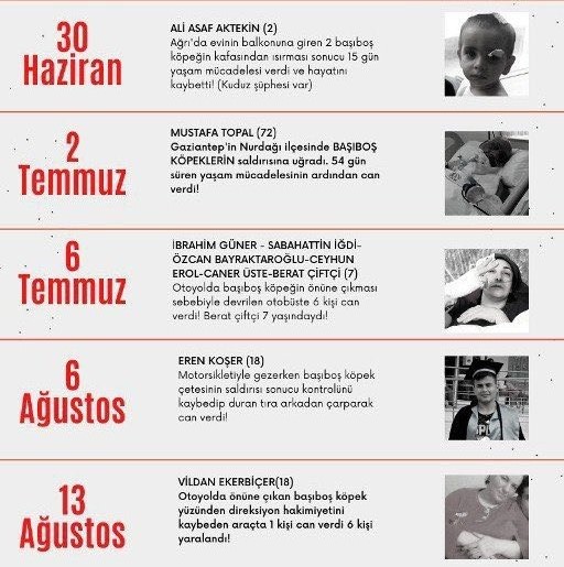 Foto - İşte köpek duyarı kasanların ikiyüzlülüğü! Çocuklar ölürken değil uyurken sessiz olunur!