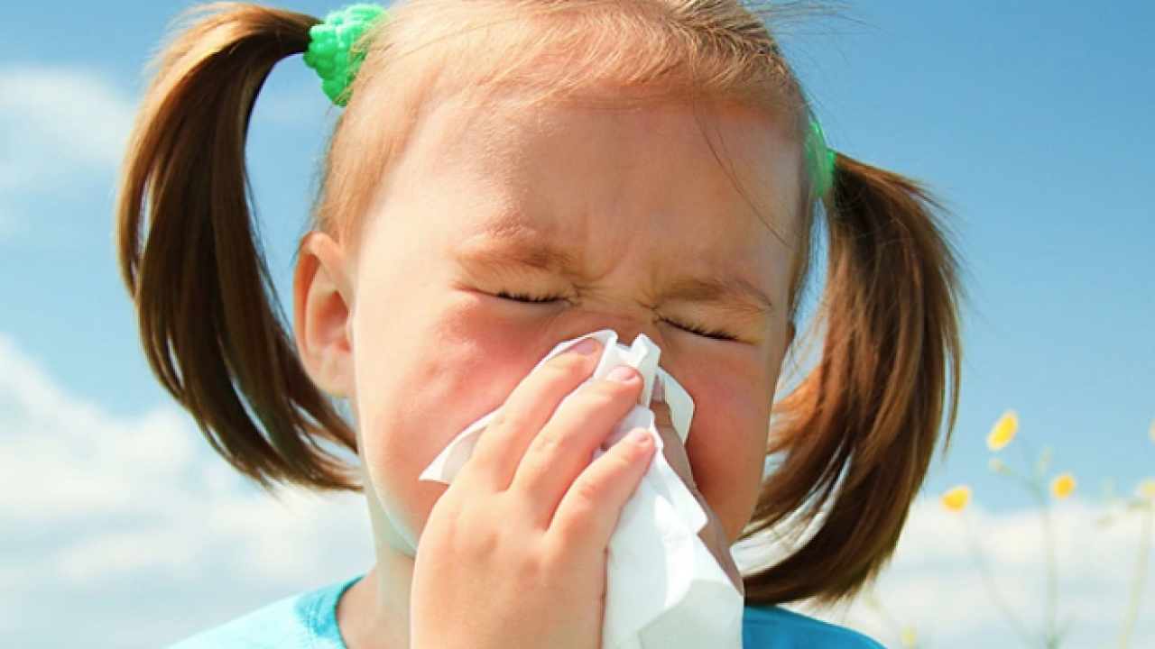 Çocuklarda bahar alerjisi: Alerjik rinit belirtileri ve korunma yolları görülme olasılığı!