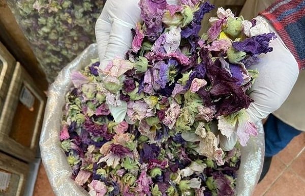 Foto - Çocuklarda öksürük geçmek bilmiyor! Bildiğiniz tüm balgam söktürücüleri unutun işte tarifi