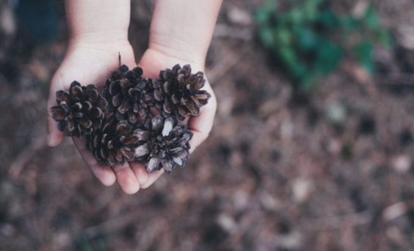 Foto - Çocuklarda yas süreci yönetimi titizlik istiyor! Çocuklara ölüm nasıl anlatılmalı?