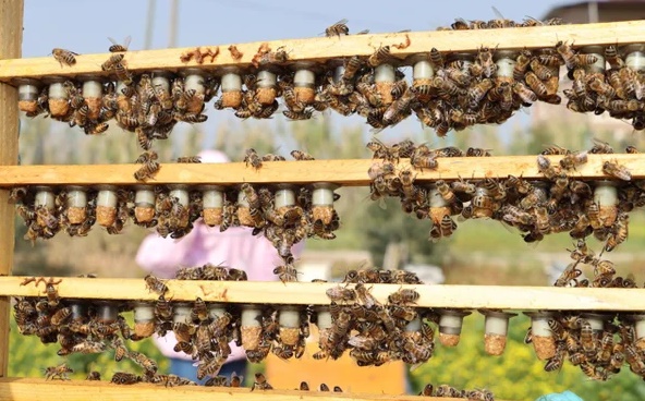 Foto - Çocukları için bu işe başladı... Şimdi talebe yetişemiyor