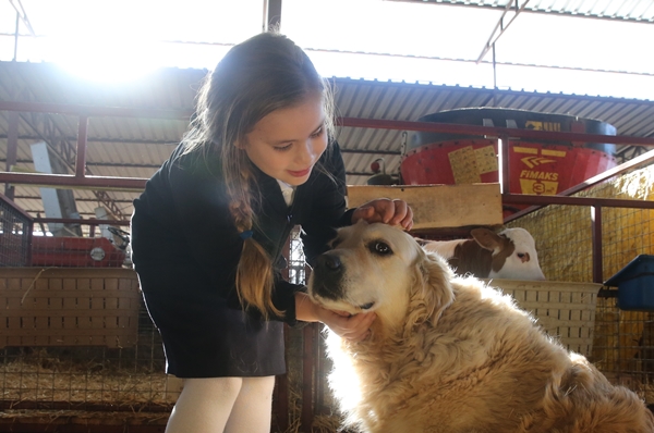 Foto - Çocukları için kariyerlerini bırakıp çiftlik kurdular