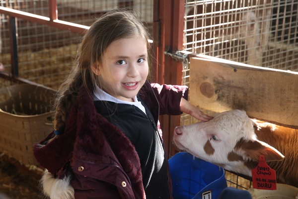 Foto - Çocukları için kariyerlerini bırakıp çiftlik kurdular