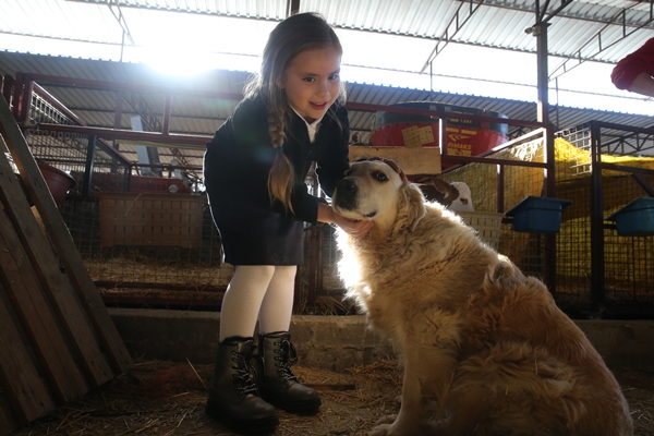 Foto - Çocukları için kariyerlerini bırakıp çiftlik kurdular