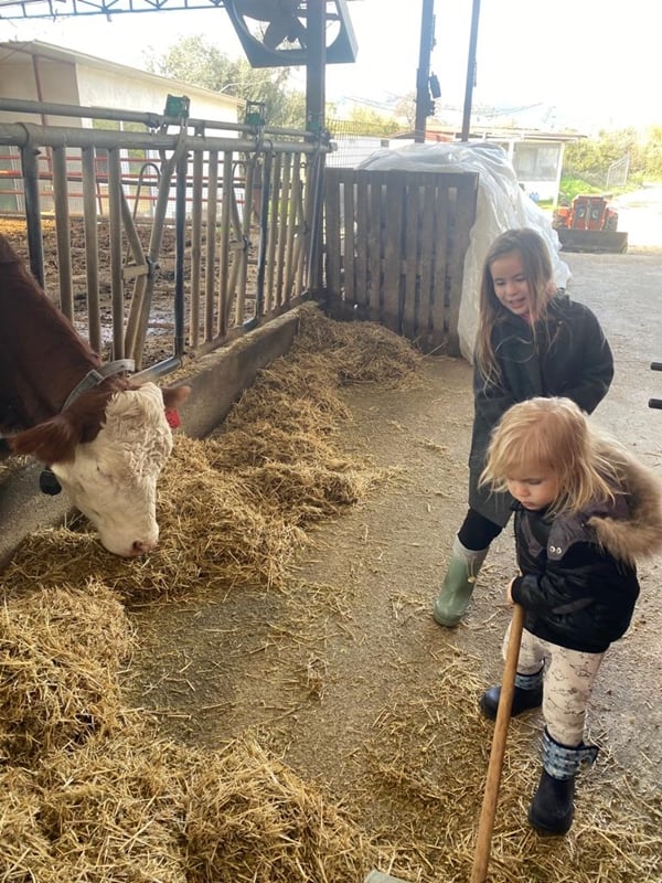 Foto - Çocukları için kariyerlerini bırakıp çiftlik kurdular