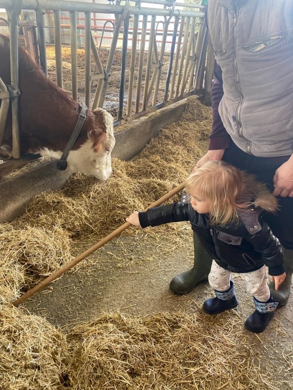 Foto - Çocukları için kariyerlerini bırakıp çiftlik kurdular