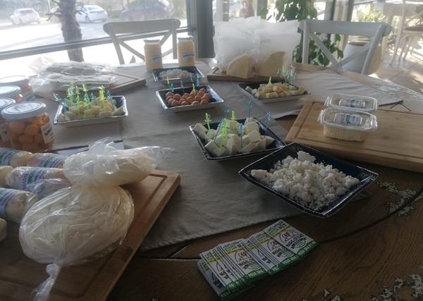 Foto - Çocukları için kariyerlerini bırakıp çiftlik kurdular