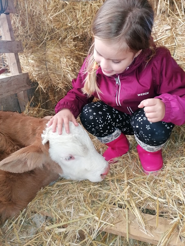 Foto - Çocukları için kariyerlerini bırakıp çiftlik kurdular