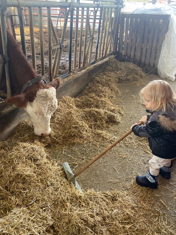 Foto - Çocukları için kariyerlerini bırakıp çiftlik kurdular