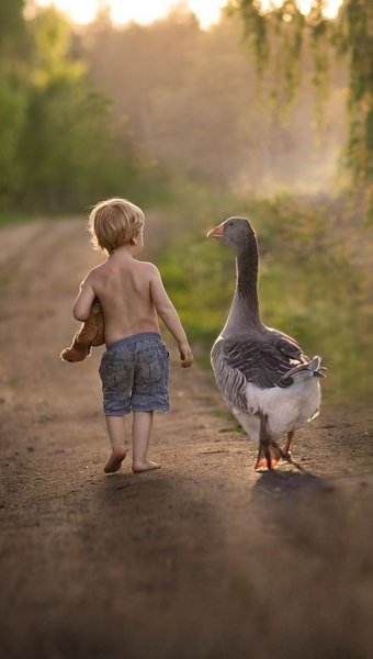 Foto - Çocukların hayvan sevgisi