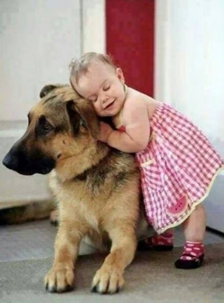 Foto - Çocukların hayvan sevgisi