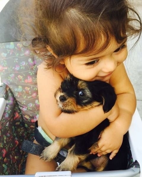 Foto - Çocukların hayvan sevgisi