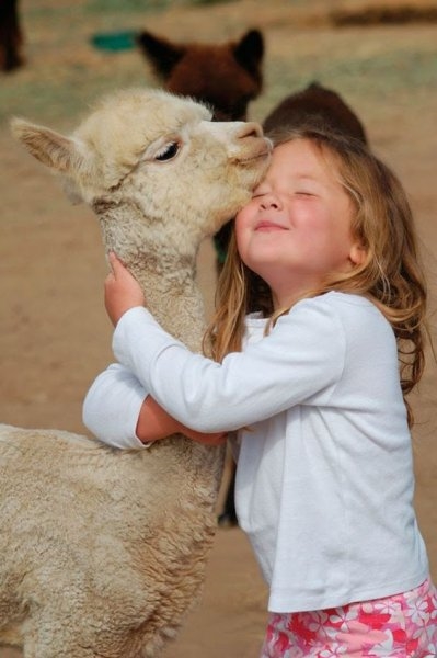 Foto - Çocukların hayvan sevgisi