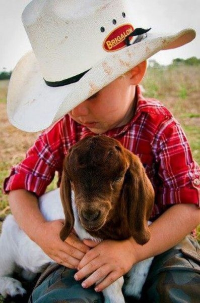 Foto - Çocukların hayvan sevgisi