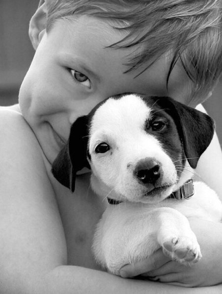 Foto - Çocukların hayvan sevgisi