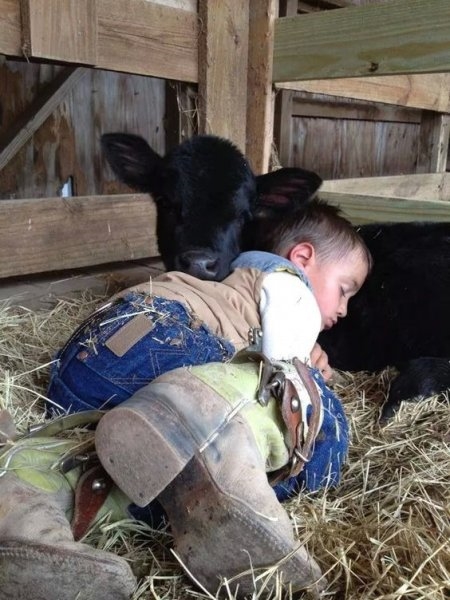 Foto - Çocukların hayvan sevgisi