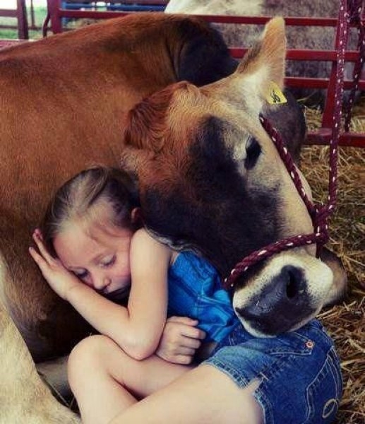 Foto - Çocukların hayvan sevgisi