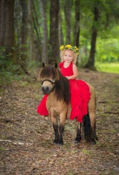 Foto - Çocukların hayvan sevgisi