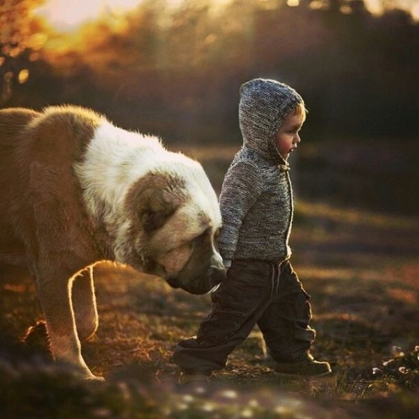 Foto - Çocukların hayvan sevgisi