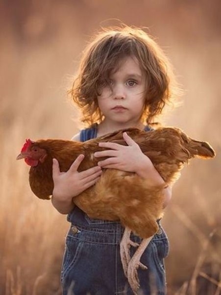 Foto - Çocukların hayvan sevgisi