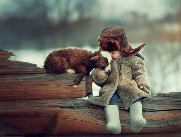 Foto - Çocukların hayvan sevgisi