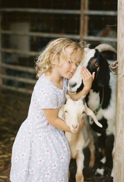 Foto - Çocukların hayvan sevgisi