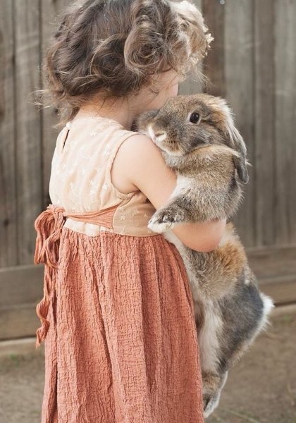 Foto - Çocukların hayvan sevgisi