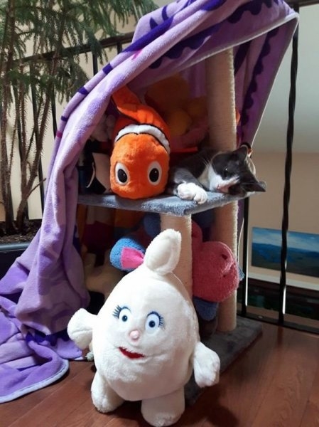 Foto - Çocukların sevimli oyun arkadaşları