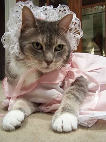 Foto - Çocukların sevimli oyun arkadaşları