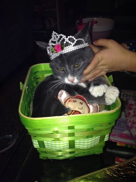 Foto - Çocukların sevimli oyun arkadaşları