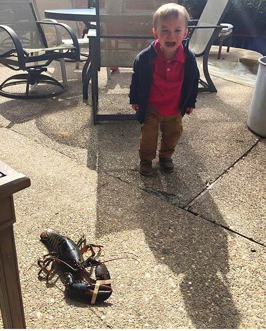 Foto - Çocukların tuhaf ağlama nedenleri