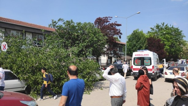 Foto - Çocuklarını beklerken üzerlerine ağaç devrildi