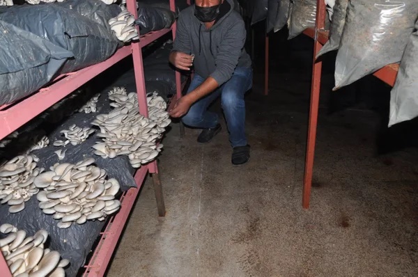 Foto - Çocuklarını dinledi, hayatı değişti! Taleplere yetişemiyor