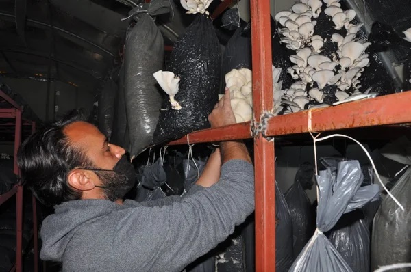Foto - Çocuklarını dinledi, hayatı değişti! Taleplere yetişemiyor
