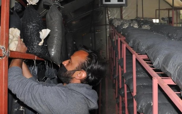 Çocuklarını dinledi, hayatı değişti! Taleplere yetişemiyor