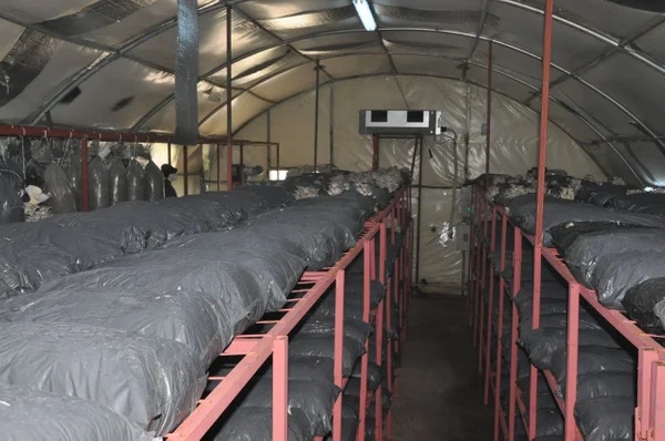 Foto - Çocuklarını dinledi, hayatı değişti! Taleplere yetişemiyor