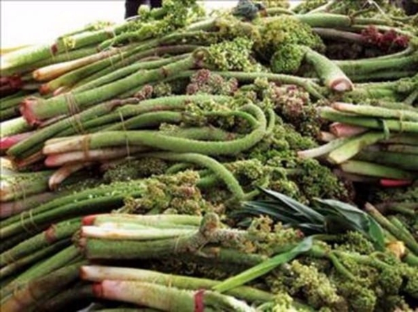 Foto - Çocuklarınıza bunları yedirmeyin!