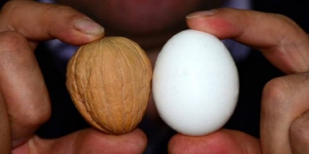 Foto - Çocuklarınızı zeka küpü yapmanın sırrı! Mutlaka kahvaltıda 3 besine yer verin! Alzheimer önleyici gıdalar