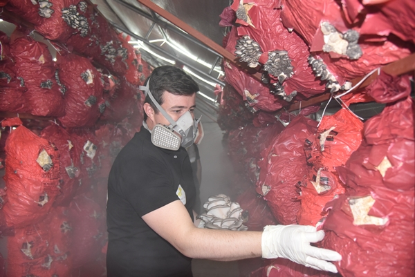 Foto - Çocukluk arkadaşı 3 mühendisin mantar mesaisi