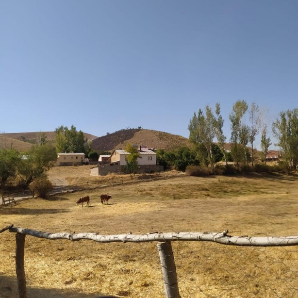 Foto - ‘Çocukluk hayalim’ dediği fidanlar yanmasın diye canından oldu