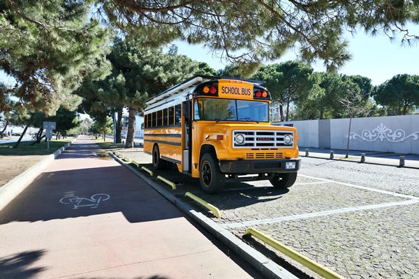 Foto - Çocukluk hayaliydi... Görenler hayran kalıyor