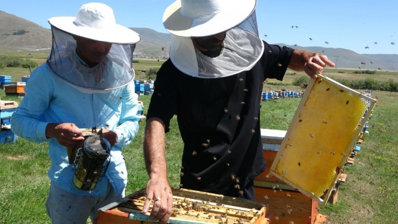 Foto - Coğrafi işaret aldı: Şimdi kilosu 1500 TL'den satılıyor!