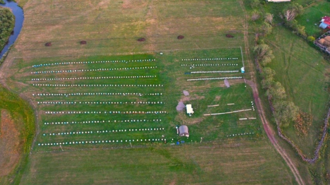 Foto - Coğrafi işaret aldı: Şimdi kilosu 1500 TL'den satılıyor!