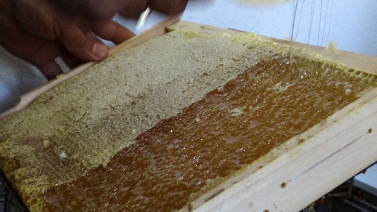 Coğrafi işaret aldı: Şimdi kilosu 1500 TL'den satılıyor!