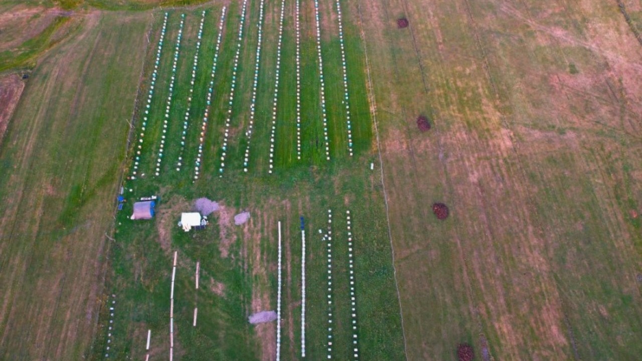Foto - Coğrafi işaret aldı: Şimdi kilosu 1500 TL'den satılıyor!