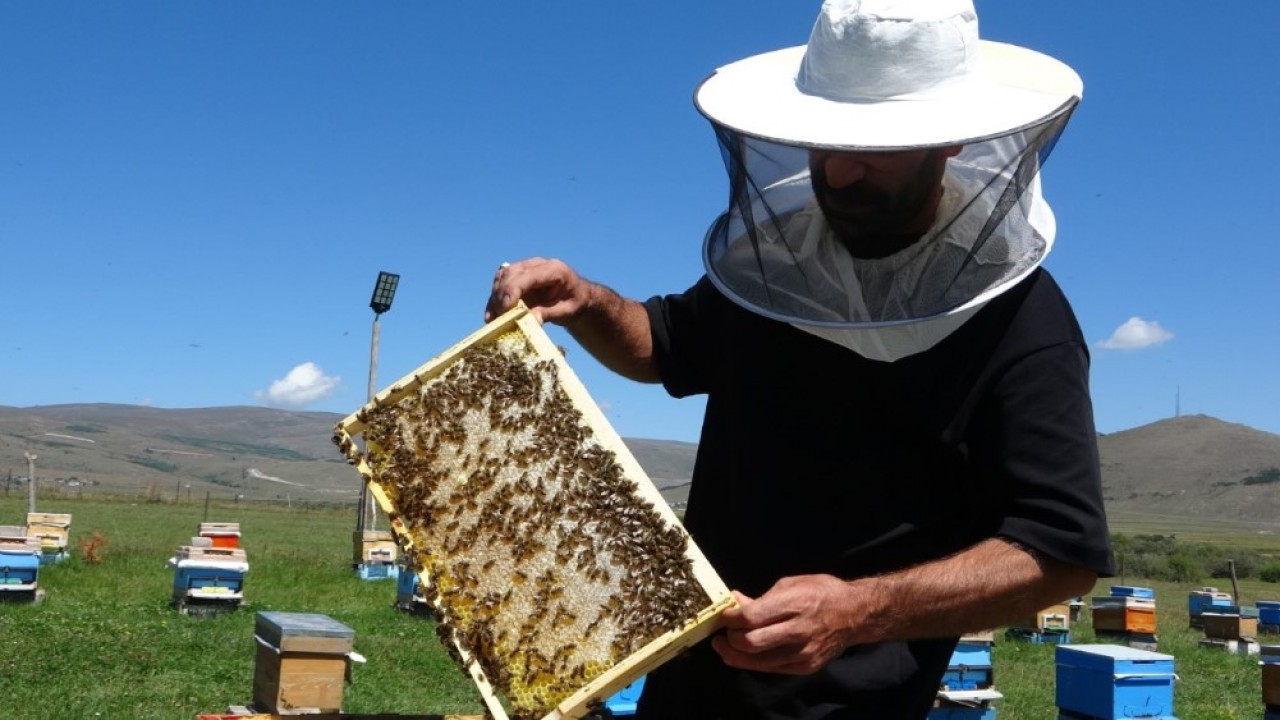 Foto - Coğrafi işaret aldı: Şimdi kilosu 1500 TL'den satılıyor!