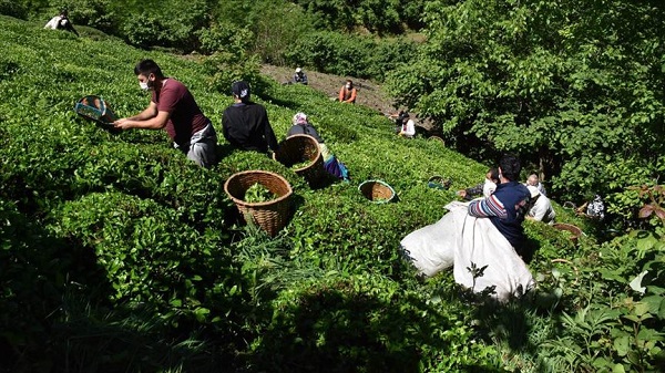 Foto - Coğrafya sağlık sorunlarını belirliyor! Bu bölgede yaşayanların derdi aynı