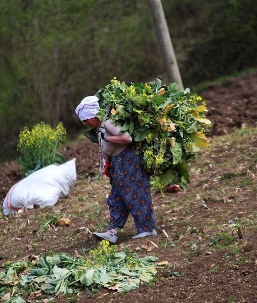 Foto - Coğrafya sağlık sorunlarını belirliyor! Bu bölgede yaşayanların derdi aynı