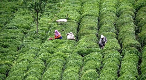 Foto - Coğrafya sağlık sorunlarını belirliyor! Bu bölgede yaşayanların derdi aynı